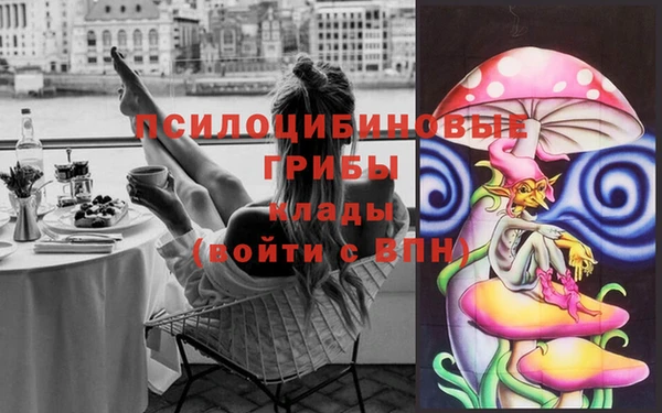 эйфоретик Алзамай